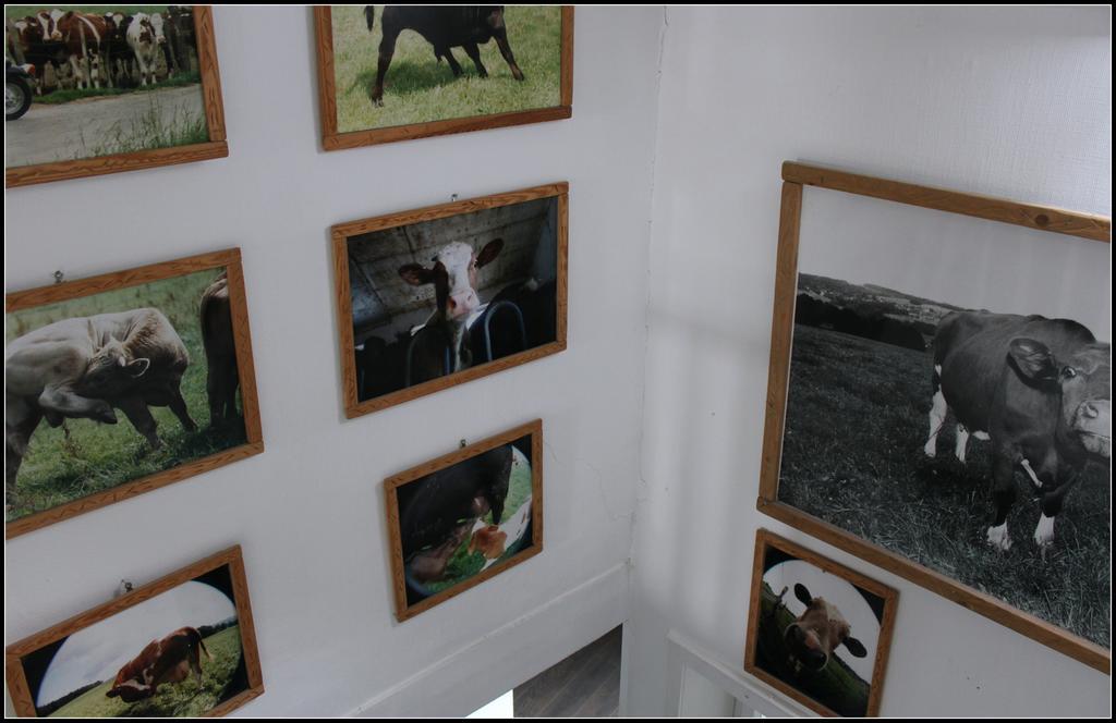 Hotel Artfarm ויהל מראה חיצוני תמונה